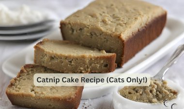 Catnip Cake Recipe (Cats Only!)