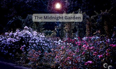 The Midnight Garden