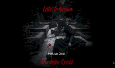 Still Closed Lyrics by Cordelia Cross