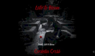 Late to Bloom Lyrics by Cordelia Cross