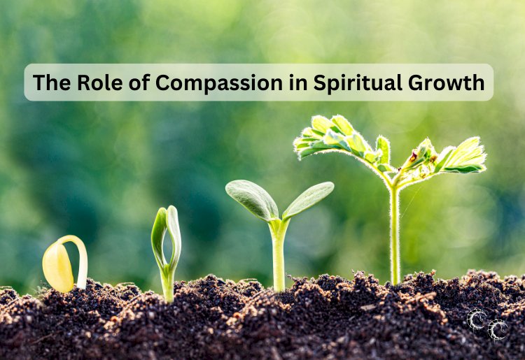 The Role of Compassion in Spiritual Growth