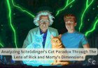 Analyzing Schrödinger’s Cat Paradox Through The Lens of Rick and Morty’s Dimensions