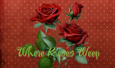 Where Roses Weep