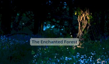 The Enchanted Forest
