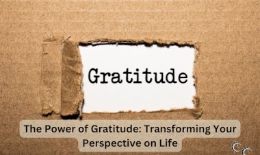 The Power of Gratitude: Transforming Your Perspective on Life