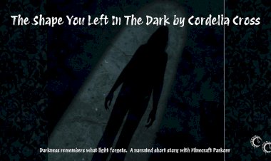 The Shape You Left in the Dark by Cordelia Cross