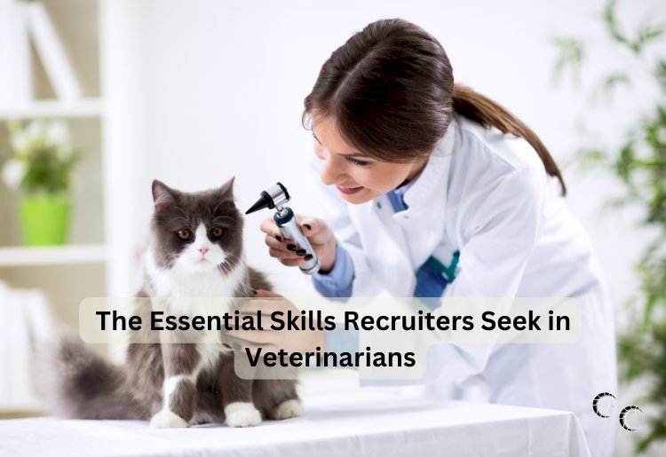The Essential Skills Recruiters Seek in Veterinarians