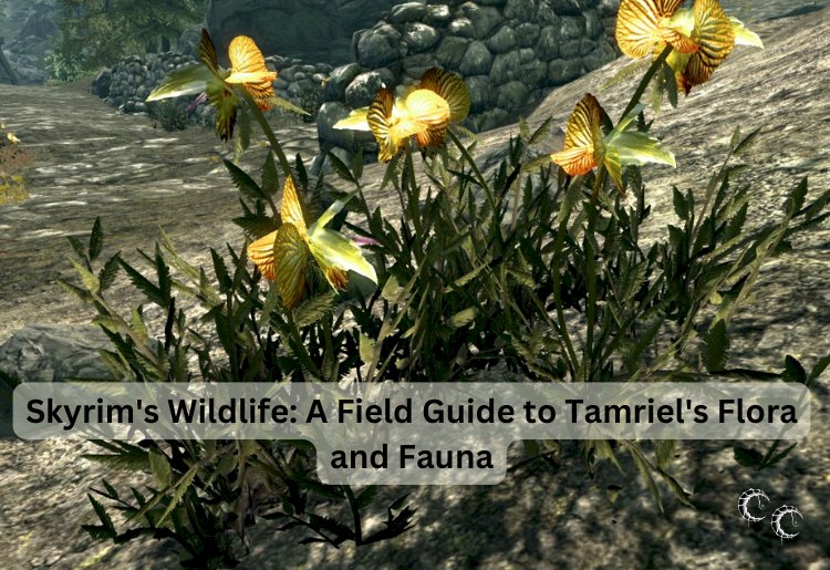 Skyrim's Wildlife: A Field Guide to Tamriel's Flora and Fauna