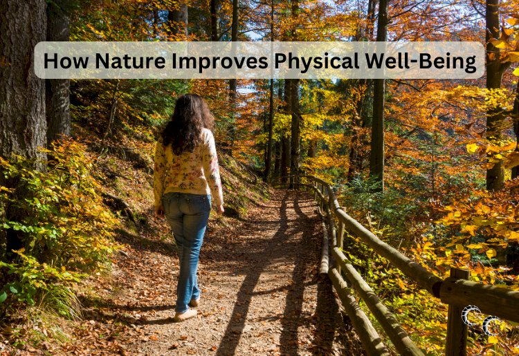 How Nature Improves Physical Well-Being